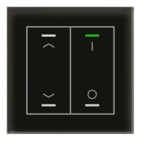 MDT BE-GTL2TS.C1 Выключатель сенсорный стекло II Lite