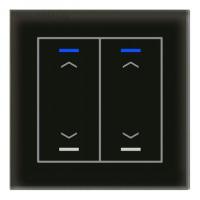 MDT BE-GTL20S.A1 Выключатель сенсорный стекло II Lite