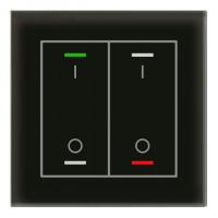 MDT BE-GTL2TS.B1 Выключатель сенсорный стекло II Lite